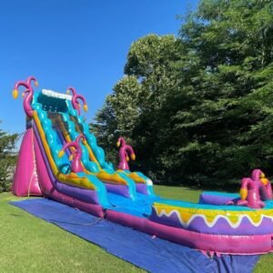 waterslide